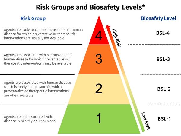 risk groups are assignment of microorganism based on